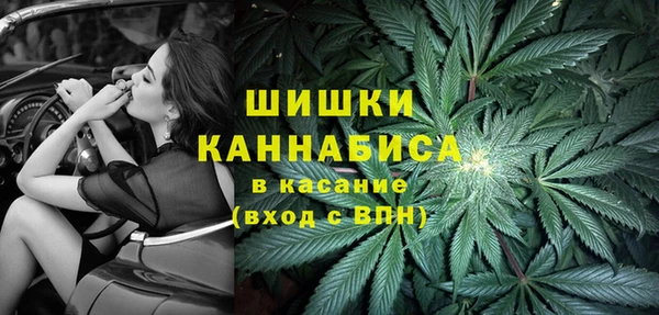ГАЛЛЮЦИНОГЕННЫЕ ГРИБЫ Арсеньев