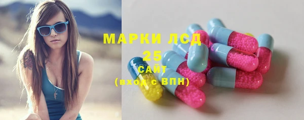 ГАЛЛЮЦИНОГЕННЫЕ ГРИБЫ Арсеньев