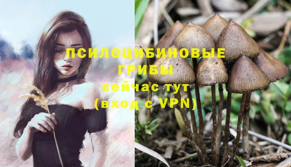 амфетамин Аркадак