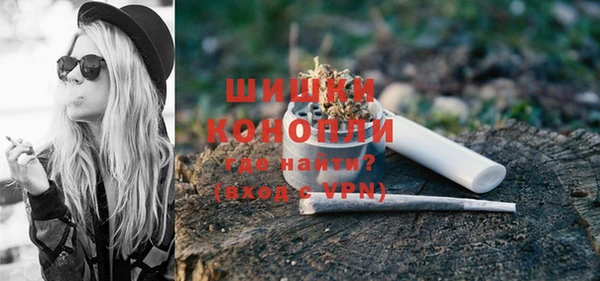ГАЛЛЮЦИНОГЕННЫЕ ГРИБЫ Арсеньев